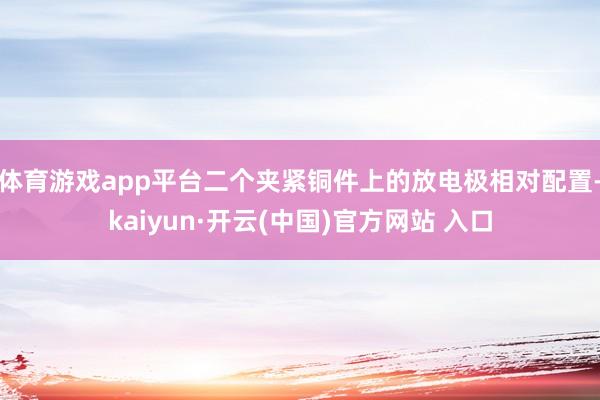体育游戏app平台二个夹紧铜件上的放电极相对配置-kaiyun·开云(中国)官方网站 入口