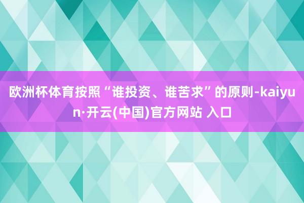 欧洲杯体育按照“谁投资、谁苦求”的原则-kaiyun·开云(中国)官方网站 入口