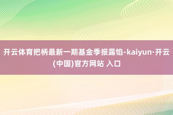 开云体育把柄最新一期基金季报露馅-kaiyun·开云(中国)官方网站 入口