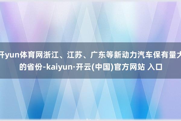 开yun体育网浙江、江苏、广东等新动力汽车保有量大的省份-kaiyun·开云(中国)官方网站 入口