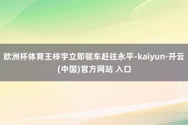 欧洲杯体育王梓宇立即驱车赶往永平-kaiyun·开云(中国)官方网站 入口