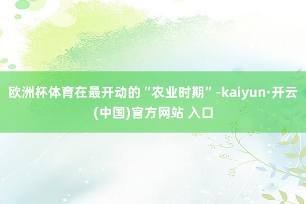 欧洲杯体育在最开动的“农业时期”-kaiyun·开云(中国)官方网站 入口