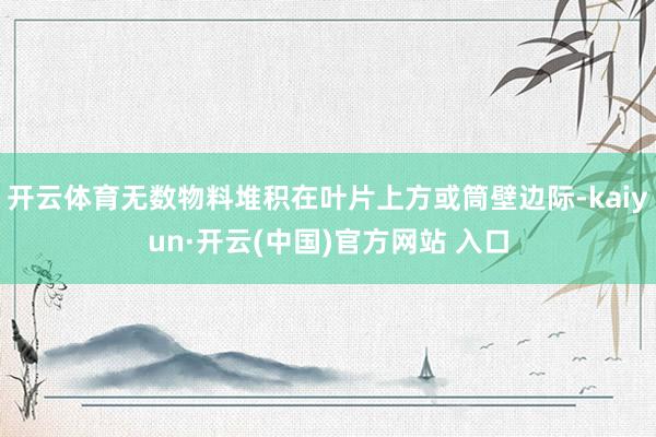开云体育无数物料堆积在叶片上方或筒壁边际-kaiyun·开云(中国)官方网站 入口