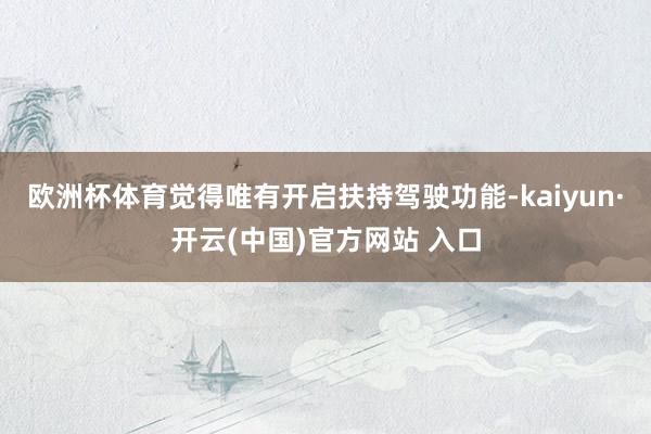 欧洲杯体育觉得唯有开启扶持驾驶功能-kaiyun·开云(中国)官方网站 入口